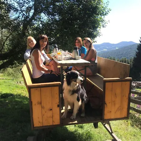 La Petite Finlande D'hotes Carelie Et Laponie 3* Orbey